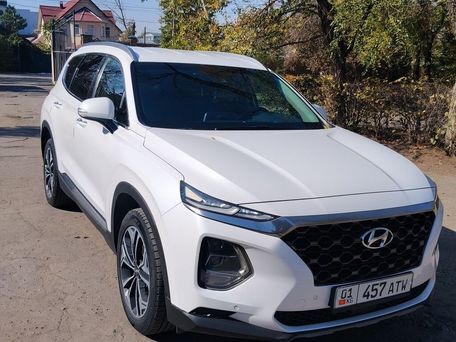 Hyundai Santa Fe, 2019 — фото 1
