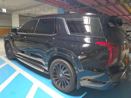 Hyundai Palisade, 2023 — photo 13