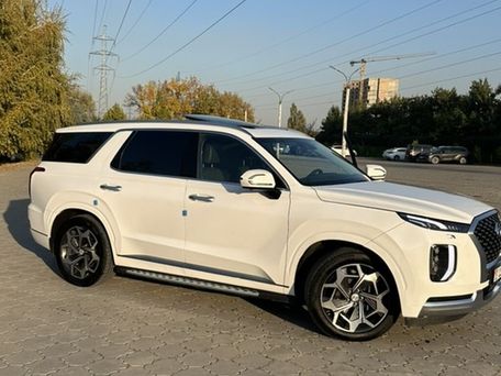 Hyundai Palisade, 2021 — 照片 2