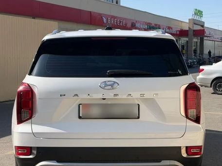 Hyundai Palisade, 2019 — photo 4