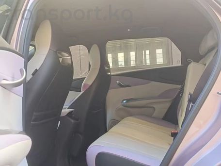 BYD Dolphin, 2021 — 照片 6