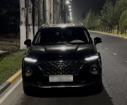 Hyundai Santa Fe, 2019