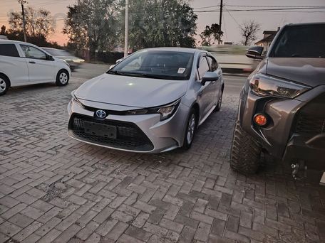 Toyota Levin, 2020 — 照片 6