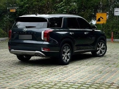 Hyundai Palisade, 2024 — фото 2