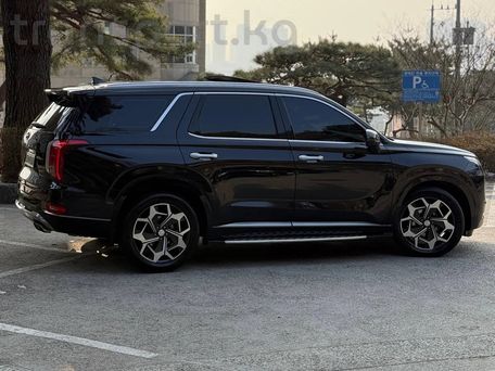 Hyundai Palisade, 2021 — фото 3