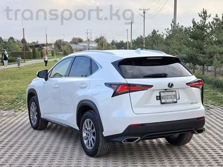 Lexus NX, 2017 — сүрөт 3