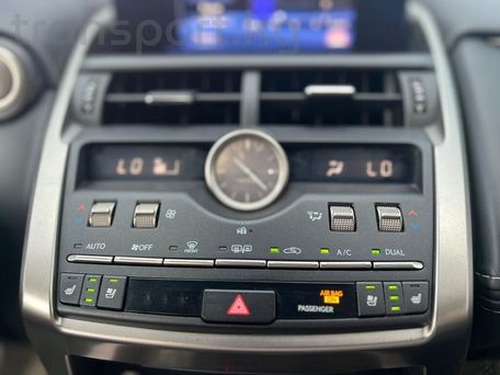 Lexus NX, 2020 — фото 12