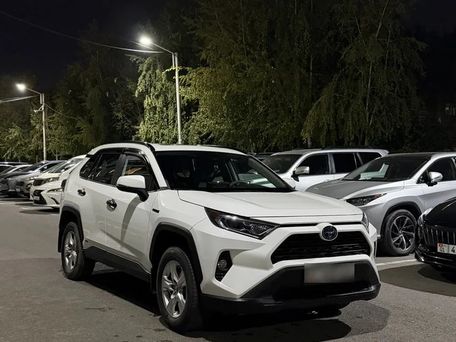 Toyota RAV4, 2019 — фото 7
