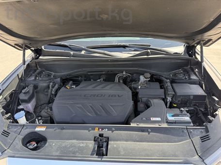 Hyundai Palisade, 2020 — 照片 20