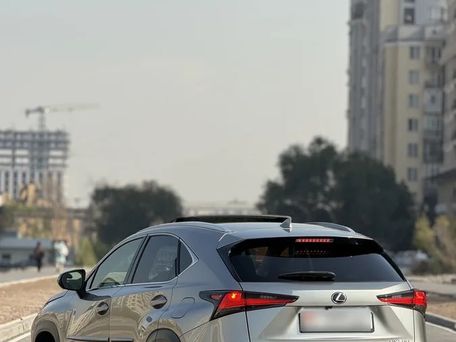 Lexus NX, 2018 — photo 5