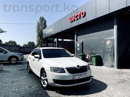 Skoda Octavia, 2015 — фото 5