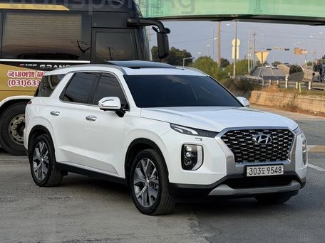 Hyundai Palisade, 2020 — photo 2