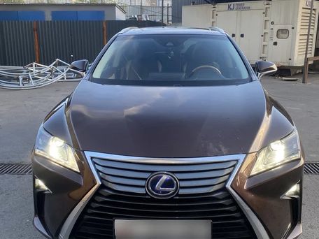 Lexus RX, 2017 — фото 10