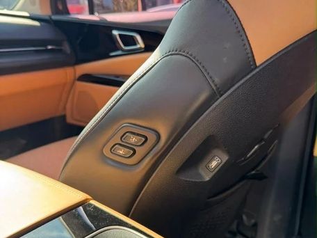 Kia Carnival, 2020 — photo 11