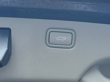 Kia Carnival, 2019 — фото 14