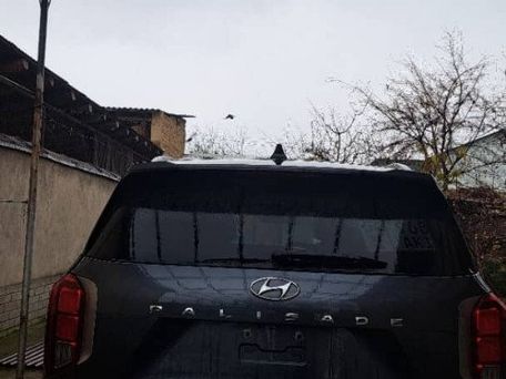 Hyundai Palisade, 2020 — photo 6