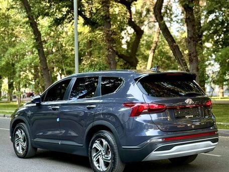 Hyundai Santa Fe, 2022 — фото 13