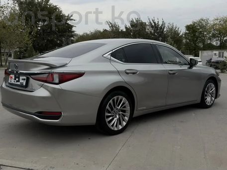 Lexus ES, 2021 — сүрөт 5
