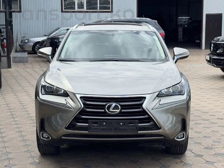Lexus NX, 2017 — фото 2