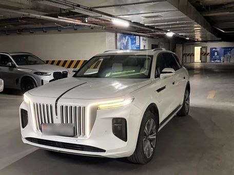 Hongqi E-HS9, 2021 — photo 2