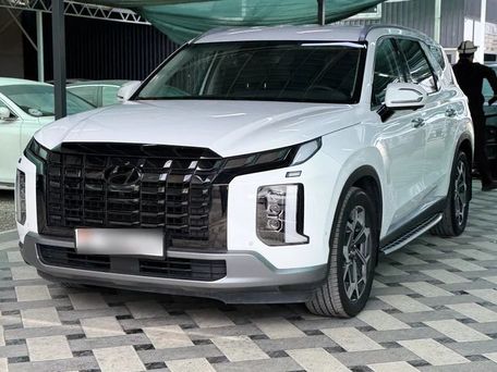 Hyundai Palisade, 2023 — 照片 5