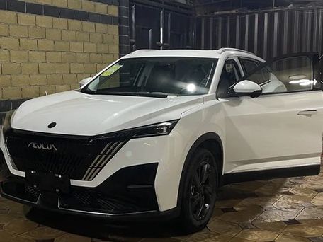 Dongfeng Aeolus Haohan, 2025 — photo 10