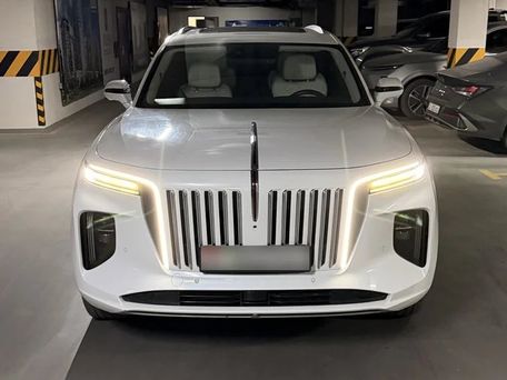 Hongqi E-HS9, 2021 — photo 1