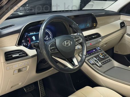 Hyundai Palisade, 2020 — photo 13