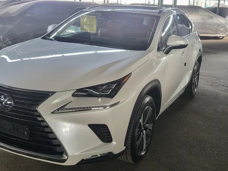 Lexus NX, 2020 — фото 1