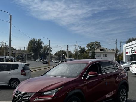 Lexus NX, 2017 — 照片 10