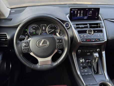Lexus NX, 2019 — 照片 11