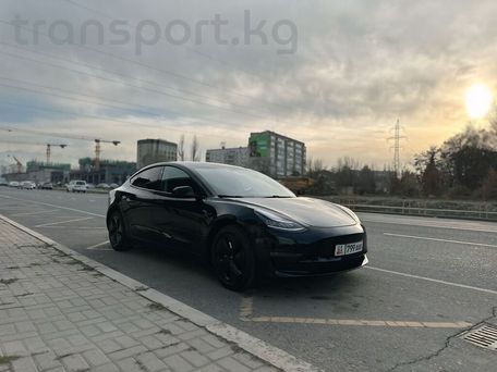 Tesla Model 3, 2019 — photo 2
