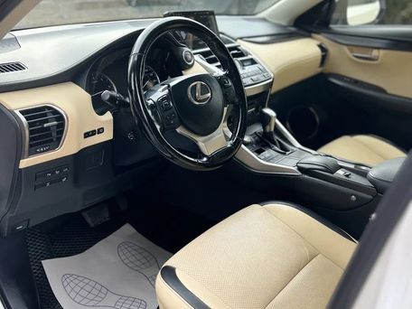 Lexus NX, 2017 — фото 11