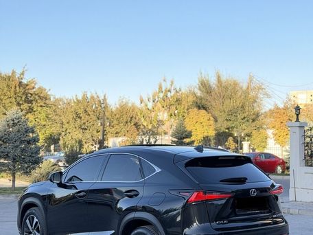 Lexus NX, 2019 — photo 8