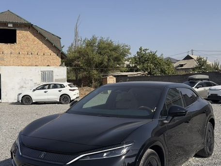 BYD Song L, 2024 — 照片 3