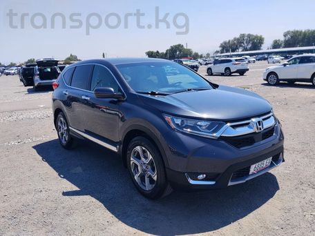 Honda CR-V, 2019 — фото 1