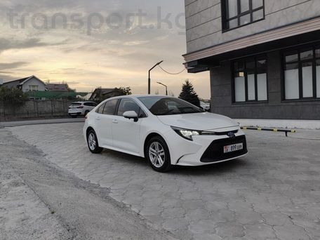 Toyota Levin, 2021 — сүрөт 3
