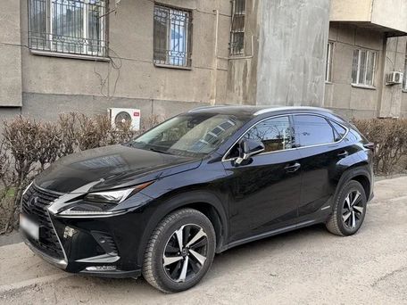 Lexus NX, 2019 — photo 2