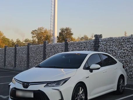 Toyota Corolla, 2022 — сүрөт 1