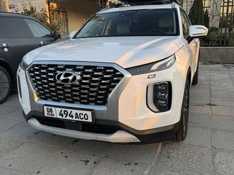Hyundai Palisade, 2020