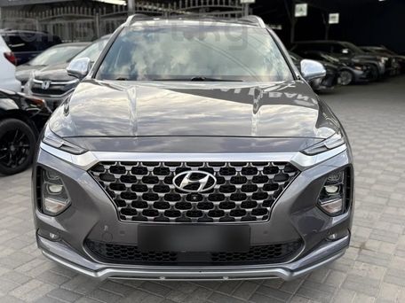 Hyundai Santa Fe, 2023 — фото 2