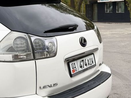 Lexus RX, 2008 — 照片 5