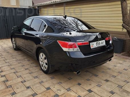Honda Accord, 2010 — 照片 5