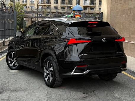 Lexus NX, 2019 — фото 6