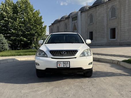 Lexus RX, 2008 — сүрөт 2