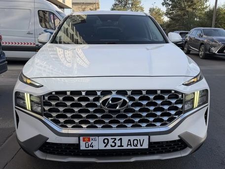 Hyundai Santa Fe, 2020 — photo 3