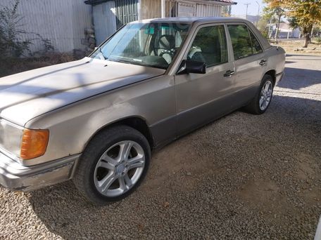 Mercedes-Benz W124, 1991 — 照片 1