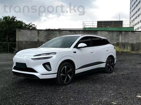BYD Sea Lion 06, 2025