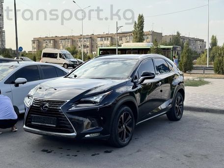 Lexus NX, 2018