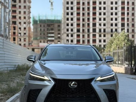 Lexus NX, 2023 — фото 3